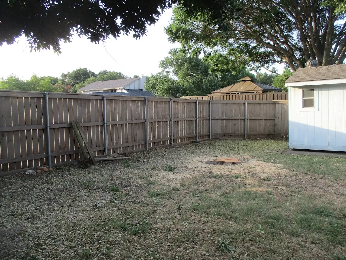Cleared yard after professional tree removal in Aroma Park